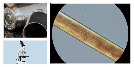 Collage of bullet cartridges, a microscope and a hair viewed under a microscope