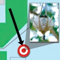 Excerpt of a map with a photo of an unusual egg in the foreground