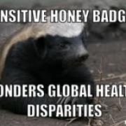 HoneyBadger